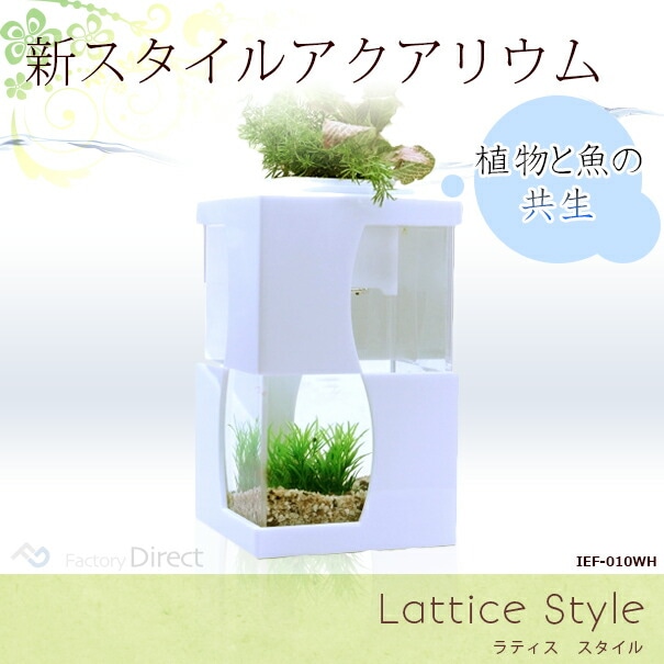 最終在庫処分祭) IEF-010WH アクアリウム水槽Lattice Style