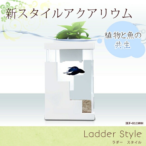 オーダー受付】〜❄︎ラージハート❄︎〜❤︎蓄光アクアリウム❤︎ 寛げ