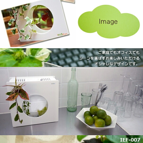 最終在庫処分祭) ief-007WH アクアリウム水槽ホワイトベース