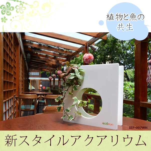 オーバーフロー水槽 中型 LED照明付き laqua-b-024-sv_w.jpg