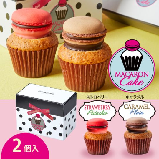 チャプチーノ　マカロンケーキ（2個入）水玉CPCM08D‐25C