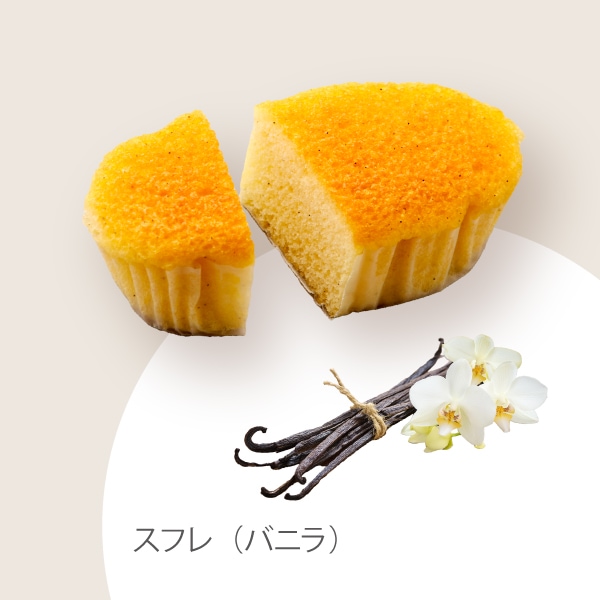 ヴァプールスフレ（10個入）VS14-25J【ファクトリーシン公式通販】神戸