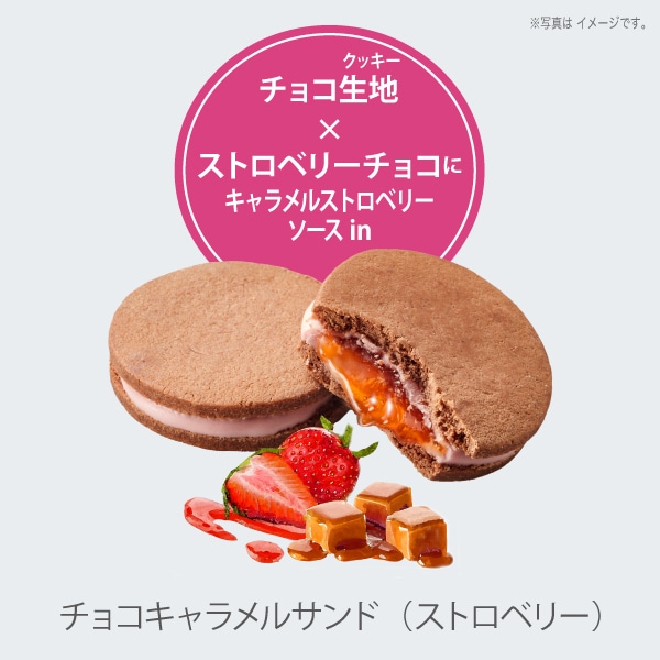 森のスイーツ工房セレクト（12個入）SS18-25D【ファクトリーシン公式