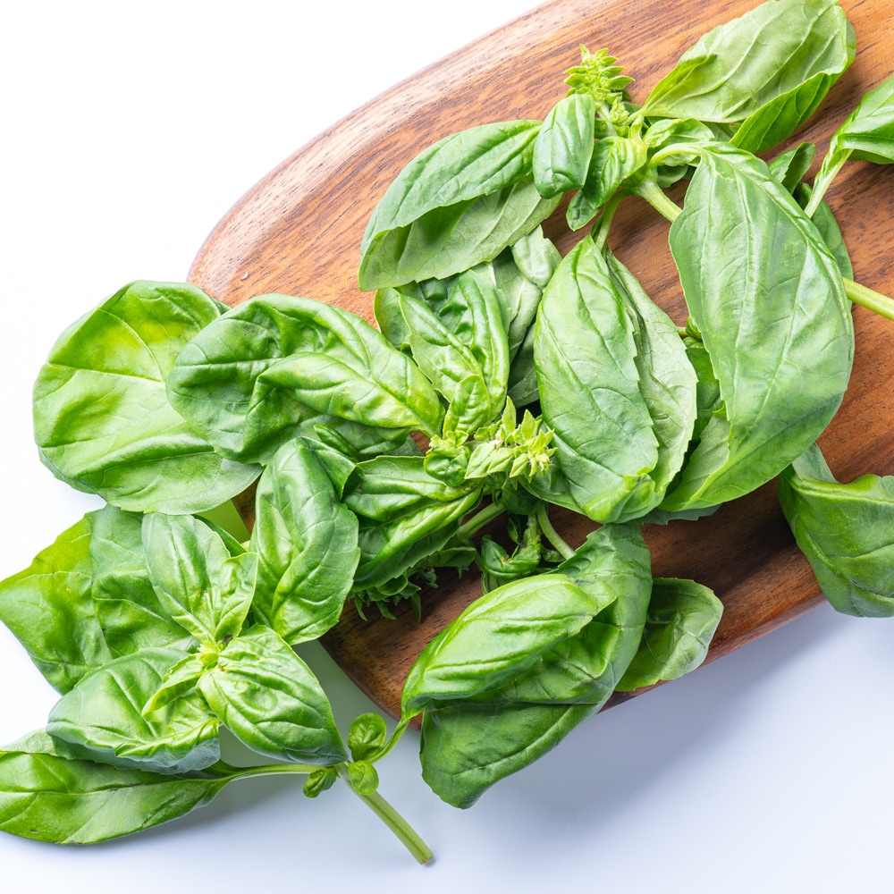 スイートバジルの爽やかな風味