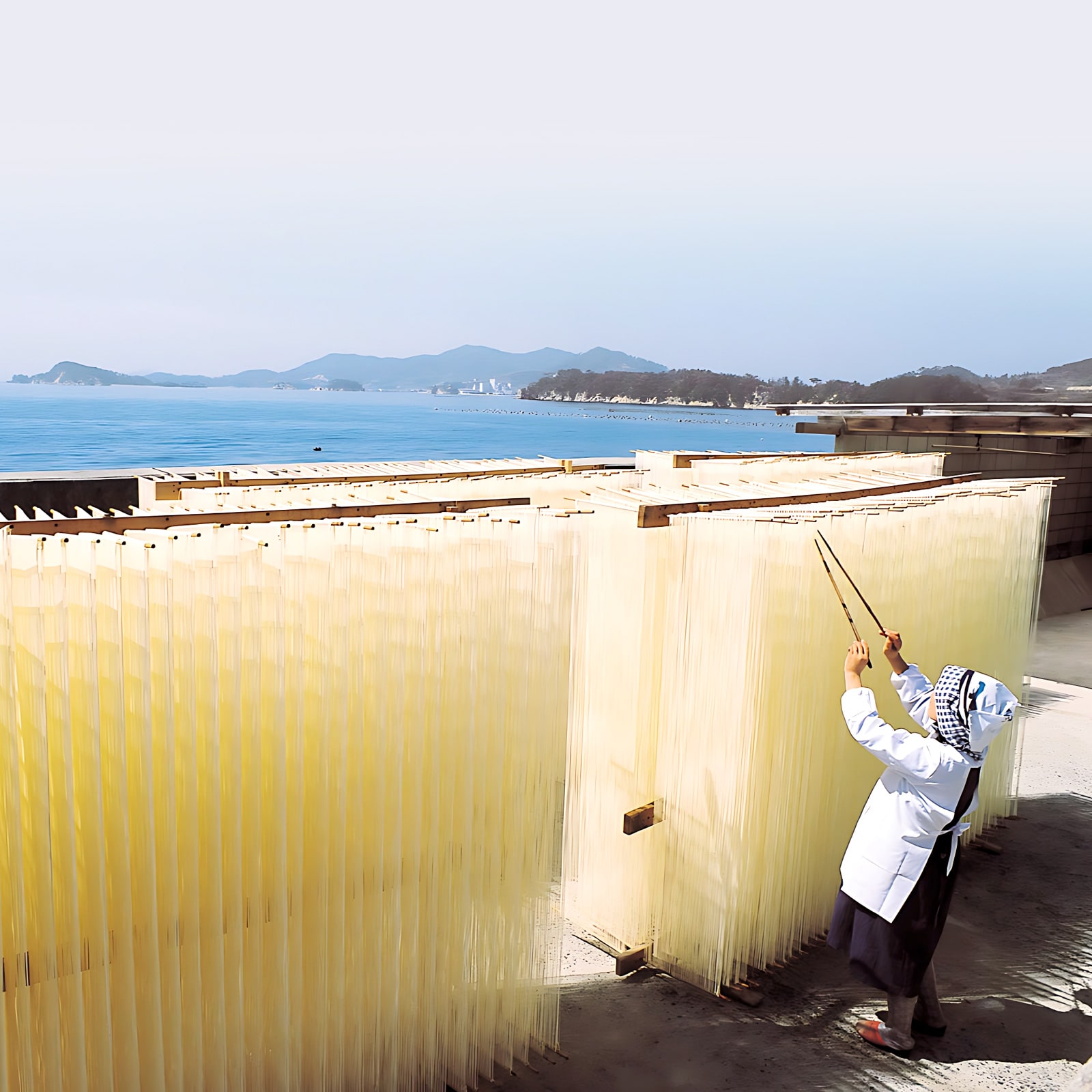 小豆島手延素麺 島の光 特級品黒帯 900g 18束 豪華木箱入り 贈答