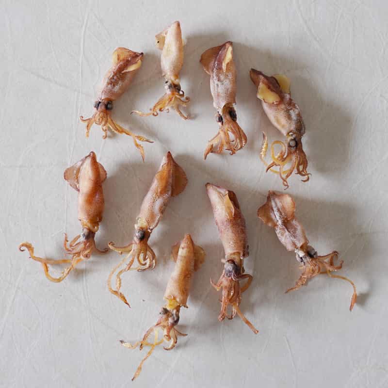 池田屋 小豆島産ひいか 単品40g 1袋 メール便送料無料 煮干し イカ