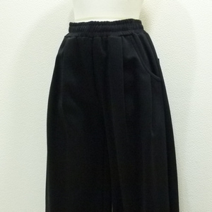 LUGIVA(�륮��)�ڥݥ���磻�ɥ����ӡ��ѥ��/2026��102409���������ʳ�¨��ȯ����