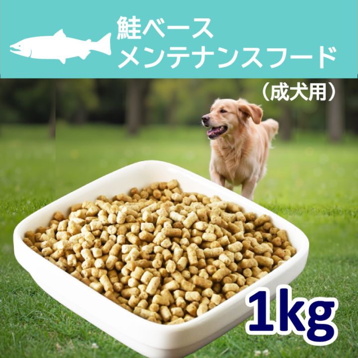 ( ̾���ѹ��� ���١��������ƥʥ󥹥ա��� 1kg�����������ꡦ �ڹ�̵ź�åɥå��ա��ɡۡڥҥ塼�ޥ󥰥졼���Ǻ��