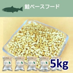 ١ա 1kg5ꡦ ڹ̵źåɥåաɡۡڥҥ塼ޥ󥰥졼Ǻ