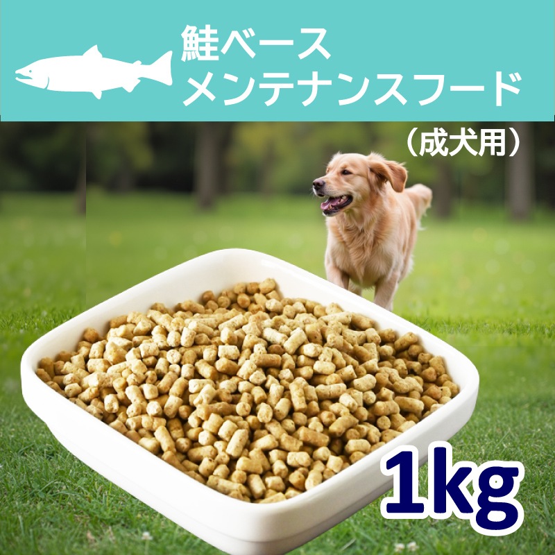 ( ̾���ѹ��� ���١��������ƥʥ󥹥ա��� 1kg�����������ꡦ �ڹ�̵ź�åɥå��ա��ɡۡڥҥ塼�ޥ󥰥졼���Ǻ��