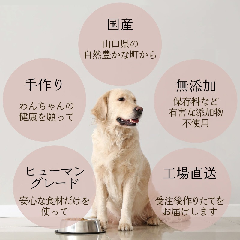 �����١����ա��� 1kg��5�����������ꡦ �ڹ�̵ź�åɥå��ա��ɡۡڥҥ塼�ޥ󥰥졼���Ǻ��