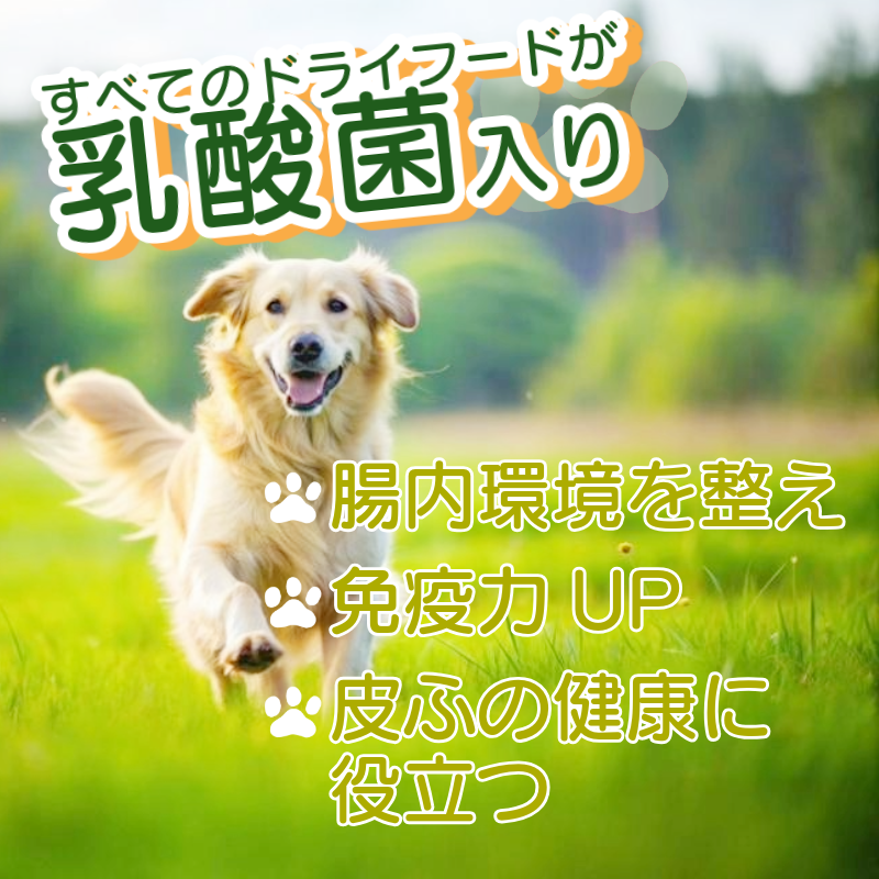 �ܤ������ա��ɡ����������ꡦ �ڹ�̵ź�åɥå��ա��ɡۡڥҥ塼�ޥ󥰥졼���Ǻ��