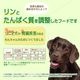 ��������ա��ɡ����������ꡦ �ڹ�̵ź�åɥå��ա��ɡۡڥҥ塼�ޥ󥰥졼���Ǻ��