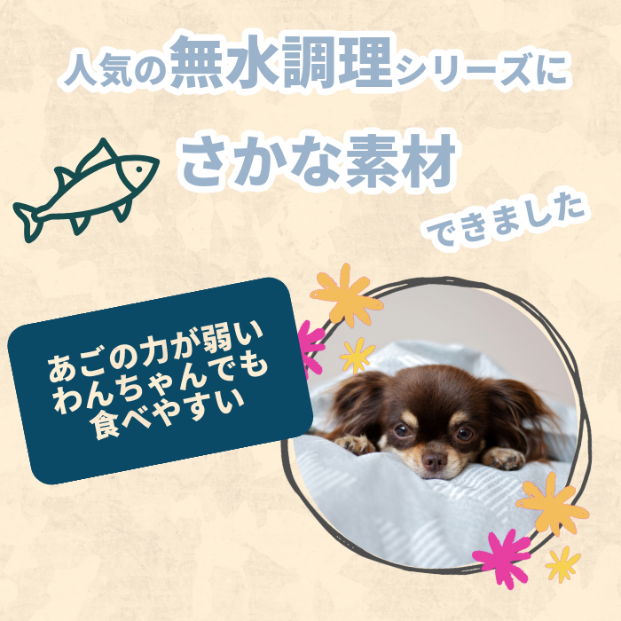 餫ޥ̵Ĵ˥ȥ ڹ̵źåɥåաɡۡڥҥ塼ޥ󥰥졼Ǻ