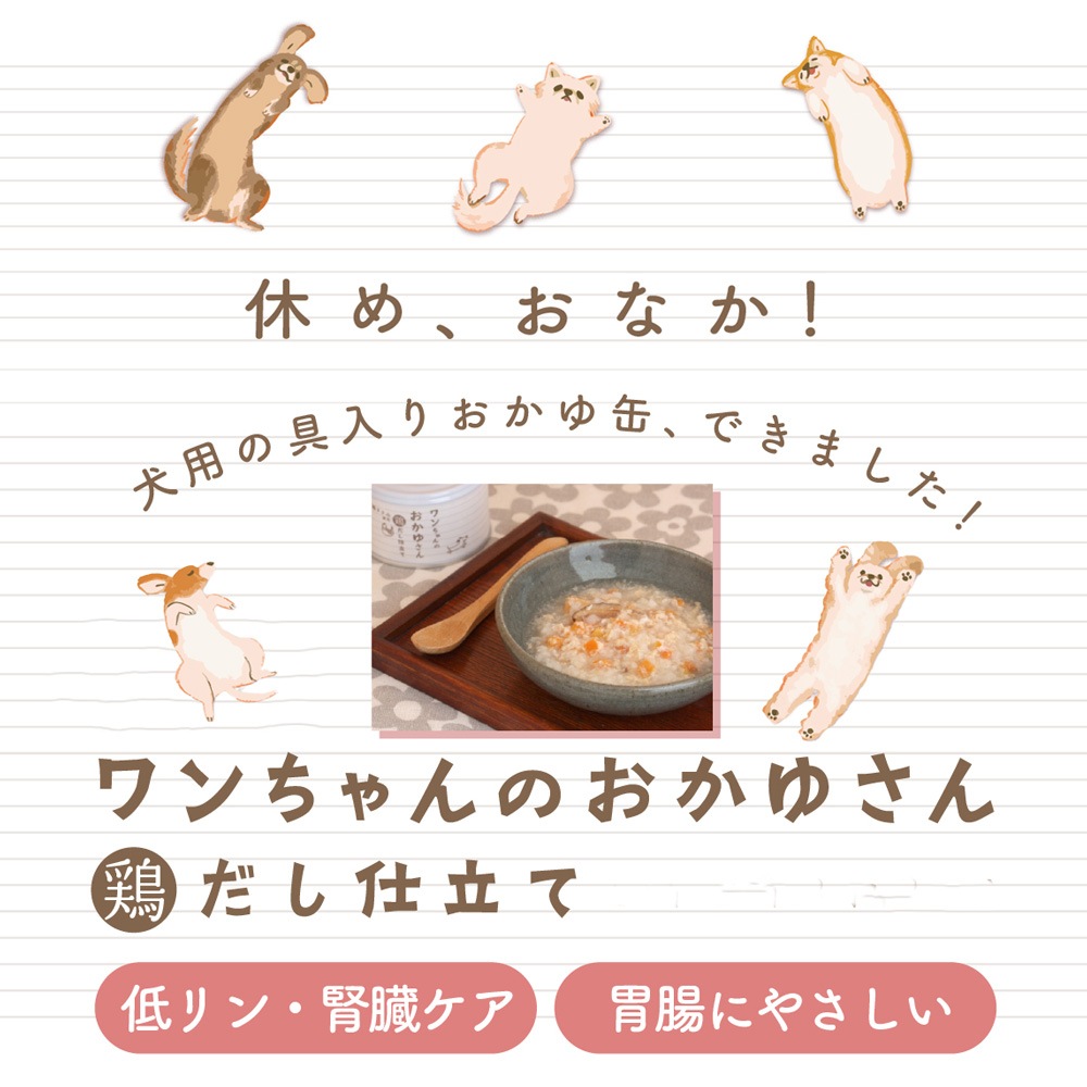 �ڿ�ȯ��ۥ������Τ����椵�� �ܤ�����Ω��