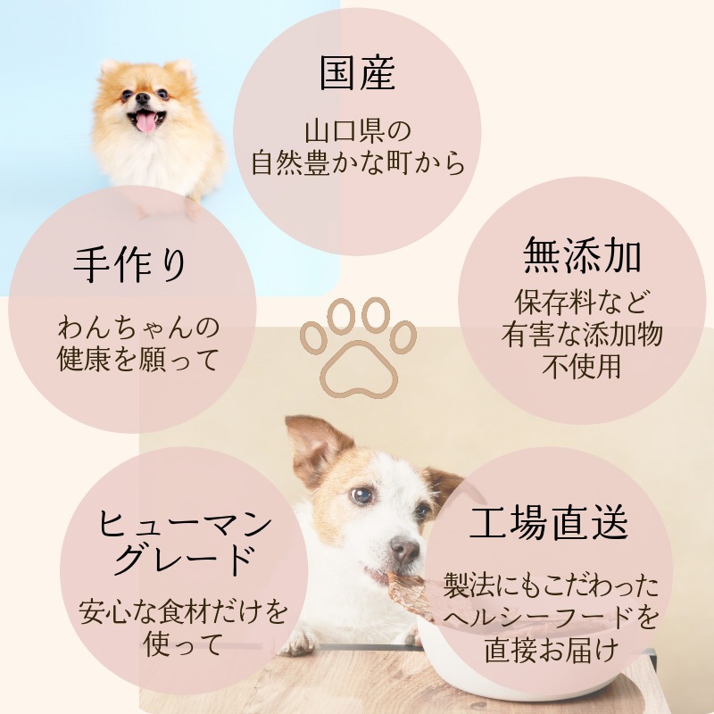 �ӥ����å� �ѥ������� 65g �ڹ�̵ź�åɥå��ա��ɡۡڥҥ塼�ޥ󥰥졼���Ǻ��