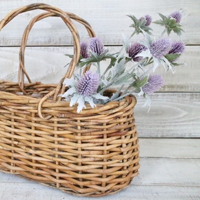 アザミ（パープル）