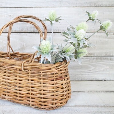 アザミ（ホワイトグリーン）