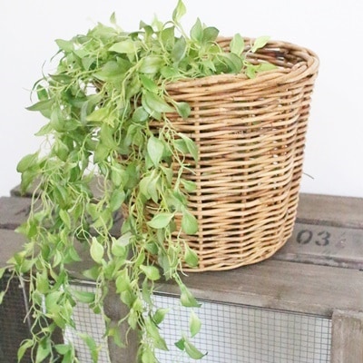 アラログ鉢カバーM