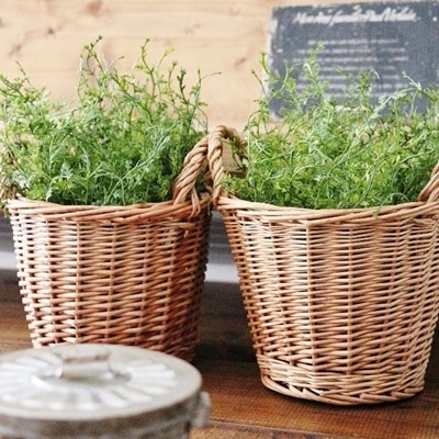 モフモフドーム