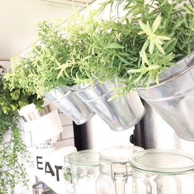 ローズマリーピック(クリームグリーン)