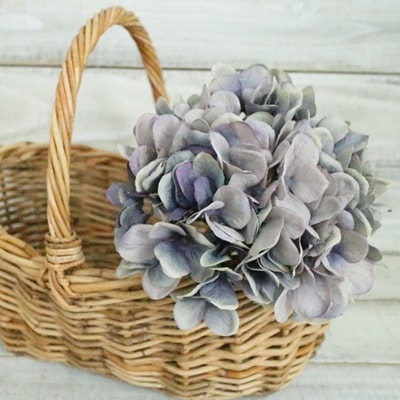 浴衣 紫陽花 秋桜 水色 エメラルドグリーン ラベンダー 秋色紫陽花