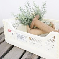 カラーコンテナM (バニラ)