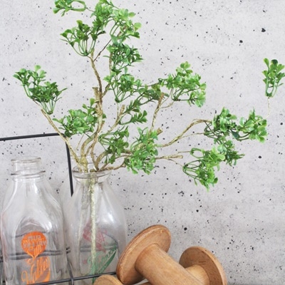 ねじねじ枝ショート