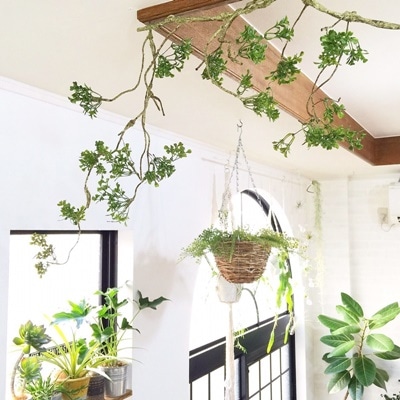 ねじねじ枝ロング