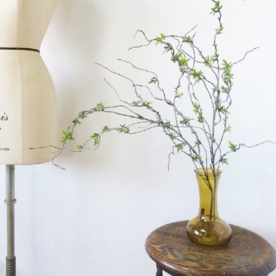 くるりんアンティークブランチ