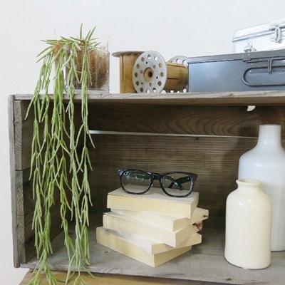 モケモケホヤリネアリス