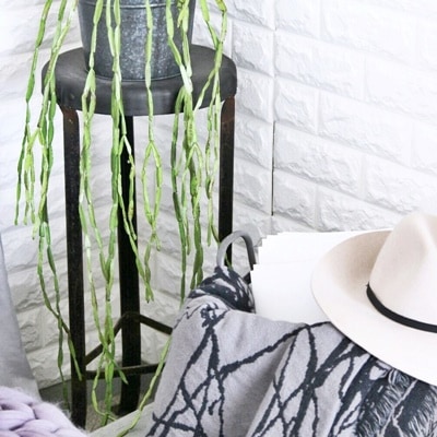 リプサリス・パラドクサ