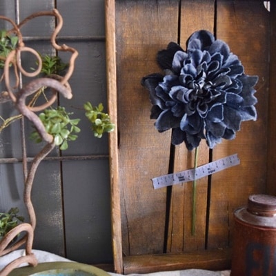 デニムだりあ（ブラック）