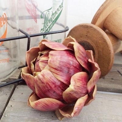 アーティチョーク(レッド)