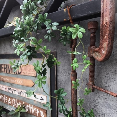 シュガーバイン(グリーン)