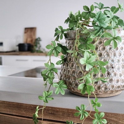 シュガーバイン(ライトグリーン)|おしゃれなフェイクグリーン・人工