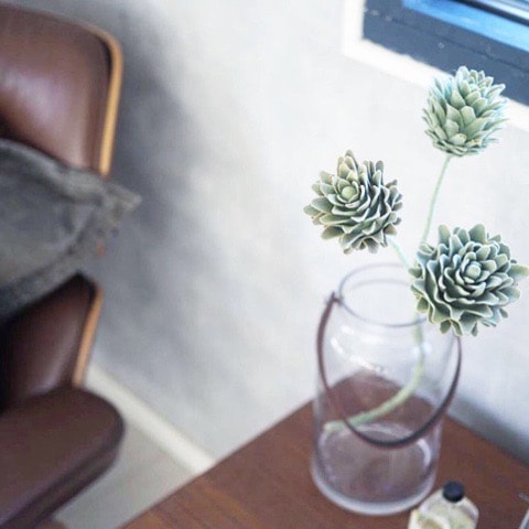 3つ子のアーティチョーク