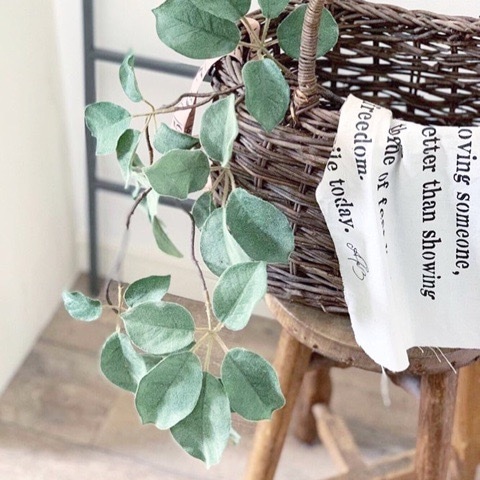 ちょいもけリーフ