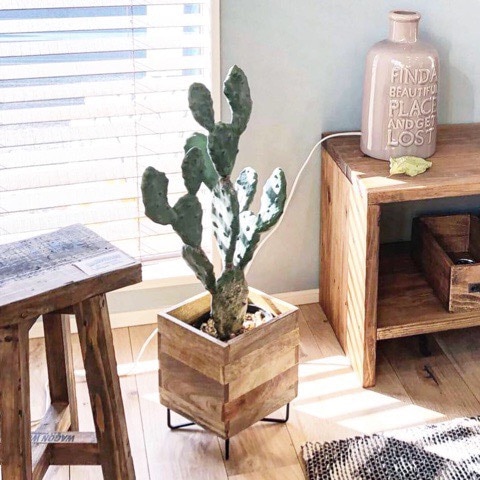 【送料無料♪】アイアンウッドポットM