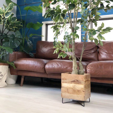 【送料無料♪】アイアンウッドポットL