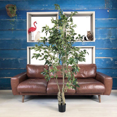 【送料無料♪】葉っぱわさわさの木