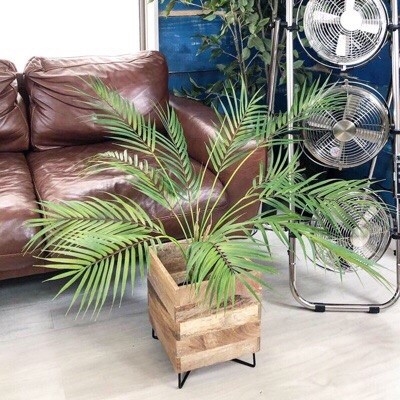 【送料無料♪】パームポット