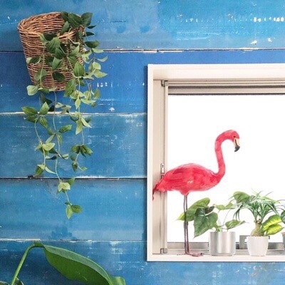 フリーダムリーフ