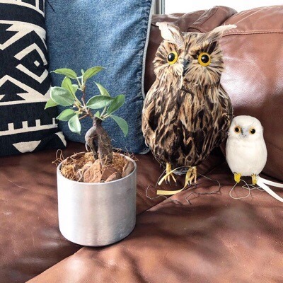 ラウンド型の鉢 (シルバー)