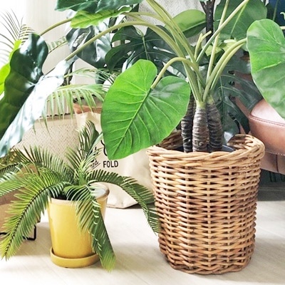 アラログ鉢カバーL