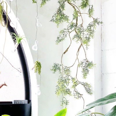 ねじねじ枝のローズマリー（グリーン）