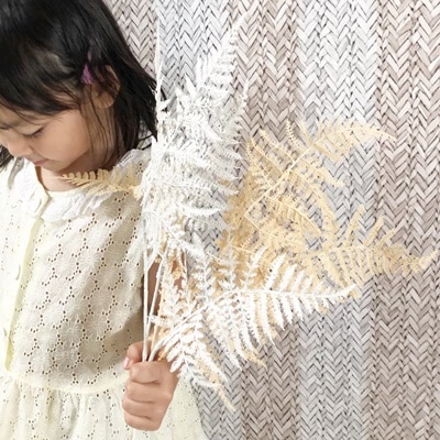 ベージュ色のアスパラガスの葉っぱ