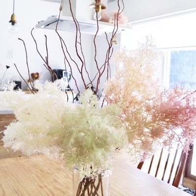 もふもふスモークツリー