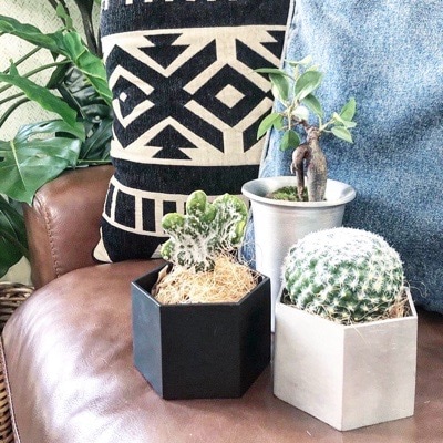 5角形の鉢 (シルバー)