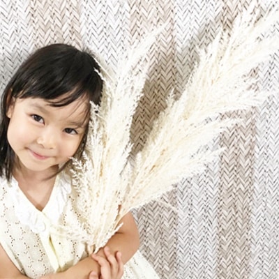 パンパスグラスセット｜おしゃれなフェイクグリーン・人工観葉植物通販